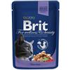 BRIT Premium Cat Adult Cod Fish 100g