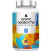 SonneSee Ginkgo Memoria 90 St