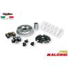 Malossi VARIATORE MALOSSI SCOOTER PIAGGIO LIBERTY VESPA PRIMAVERA 125 150 3V 5115639