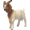 Schleich Farm World Capra di Burenzio, Gioco figura - 14929