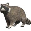 Schleich Wild Life Procione, Gioco figura - 14937