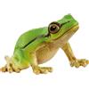 Schleich WILD LIFE 14882 action figure giocattolo, Gioco figura - 14882