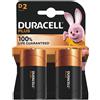 Duracell Plus 100 D B2 x10 - 141988