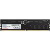ADATA DIMM 24 GB DDR5-5600, Memoria - AD5U560024G-S