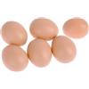 Generic Uova di Pasqua di plastica Uova di verniciatura Artificiale Non finita per Bambini Artigianato di Natale 6 Pezzi.