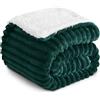 RUIKASI Plaid Coperta Pile Matrimoniale - 150x200 cm Coperta Termica Invernale Sherpa Morbida per Divano e Letto Matrimoniale, Verde