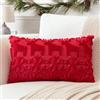 Artscope 1 Pezzi Natalizio Federe in Lana Corta Velluto Copricuscini Morbido Decorativo Fodere per Cuscino Lusso Stile per Divano Camera da Letto Fiocchi di Neve e Cervo Rosso 40x60 cm