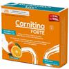 PALADIN PHARMA SpA SANAVITA CARNITINA FORTE14BUST