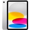 IPAD WF CL 256GB SLV