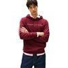 Tommy Jeans Uomo Felpa Linear Logo con Cappuccio, Rosso (Red Wine Multi), S
