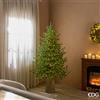 Enzo De Gasperi EDG Enzo De Gasperi Albero di Natale Pino Lucciole 180 cm con 2300 Rice Led
