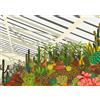 GIBSONS Puzzle Brutalista Giardino d'Inverno, Londra 500 pezzi