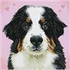 Diamond Dotz Ricamo a mosaico Diamond Dog Say Hello to Zuzu 31x31cm DQK7001