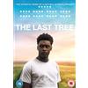Spirit Entertainment The Last Tree (DVD) Shola Amoo