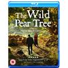 New Wave Films The Wild Pear Tree (Blu-ray) Aydin Dogu Demirkol Murat Cemcir Bennu Yildrimlar