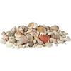 Relaxdays Set di Conchiglie Decorative, Mix Gusci Grandi Decorazione Marina per Bricolage 2 kg, per Bomboniere, Colorate