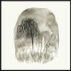 Woodpigeon T R O U B L E (Vinyl LP) 12" Album