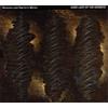 Wadada Leo Smith's Mbira Dark Lady of the Sonnets (CD) Album