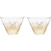 Sara Miller London Sara Miller SM79261-XD Portmeirion Chelsea Collection - Set di 2 ciotole in vetro, in porcellana