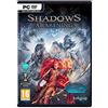 Kalypso Shadows Awakening PC Game [Edizione: Regno Unito]
