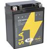Landport Batteria AGM SLA 12V 14Ah per avviamento moto MS LTX14AH-4