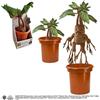 Harry Potter peluche interattivo Mandrake 30 cm 1 St