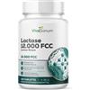 VitaSanum® Lactase 12.000 FCC - Lactase-Enzym 120 pz Compresse