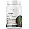 VitaSanum® Cravex - per glicemia, energia & metabolismo 90 pz Capsule
