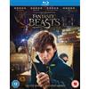 Warner Bros. Home Ent. Fantastic Beasts and Where to Find Them (Blu-ray) Alison Sudol Carmen Ejogo