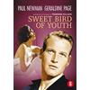 Sweet bird of youth (DVD)