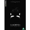 Dogwoof Blackfish (DVD) Kim Ashdown Ken Balcomb Samantha Berg Dave Duffus