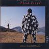 Pink Floyd Delicate Sound of Thunder (CD) Album