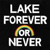 Lake Forever Or Never (CD) Album