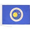 AZ FLAG Bandiera NASA degli Stati Uniti 45x30 cm Poliestere 100D Cordini