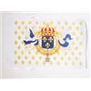 AZ FLAG Bandiera Re di Francia Fiore di Lis 45x30 cm Cordini | Uso interno ed esterno bandiera decorativa reale francese Roi de France Fleur de Lys doppie cuciture e bordi rinforzati