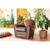 PIB Poltrona club in pelle marrone, stile industriale, 86x84x78 cm, finitura artigianale
