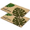 Carpido Monstera Welcome Zerbino in Cocco - Set di 2 40x60 cm - Naturale d'Ingresso Antibatterico - 100% Materiale