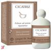 DR.GIORGINI SER-VIS SRL CICATRIZ POLVERE 10 G