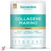 OLYOS ITALIA SRL SOMATOLINE COLLAGENE MARINO 258 G SENZA GLUTINE SENZA LATTOSIO SENZA ZUCCHERI AGGIUNTI SENZA EDULCORANTI