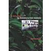 Matthew Akim Tomlinson In God's Image (Tascabile) Anthropology of Christianity
