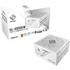 ASRock Steel Legend - Alimentatore per PC, 1000 W, ATX, 80+ con certificazione Gold