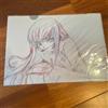 NESSUNA MARCA Code Geass Clear File Folder Anime custodia ufficiale per la conservazione de...
