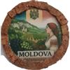 Generic Magnete da frigorifero Moldavia, cornice in sughero, realizzata a mano, motivo vigneto scenico, 6 cm