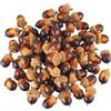 YEAMLTE Ghiande Finte 40 Pezzi Artificiali Autunno Ghiande Decorazioni Autunno Casa | Piccole Ghiande Artificiali Decorative per Decorazioni da Interno Ed Esterno, Casa e Fai Da Te