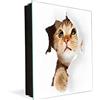 Concept Crystal Armadietto Portachiavi Decorativo con Lavagna K02 Gatto in Carta