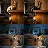 Generic Lanterne a Forma di Gatto per Libreria con Luce LED Notturna，A
