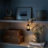Generic Lanterne a Forma di Gatto per Libreria con Luce LED Notturna，C