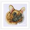Merejka Kit punto croce Bulldog francese K-114