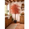 LIGUORO SHOP Acero Pianta Sintetica Finta Albero Con Tronco in Legno Naturale e Foglie Poliestere Seta (Fulvia - Acero 220 cm)