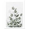 ABCWARRT Pianta Verde Pittura Fiore Peonia Poster Wall Art Canvas Picture Nordic Eucalyptus Poster per Soggiorno Camera da Letto Home Decor (50 * 70cm Nessuna Cornice,5)